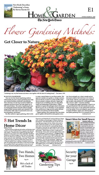 Print Design: Mini News Paper