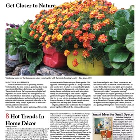 Print Design: Mini News Paper